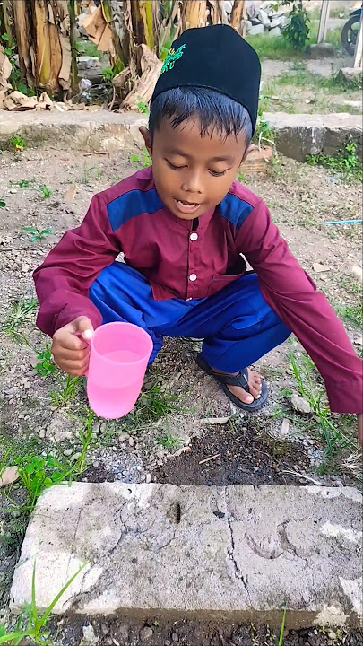 caterpillars are also watered #shorts #entertainment