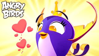 Angry Birds | The Golden Queen & Her Soft Side 💜