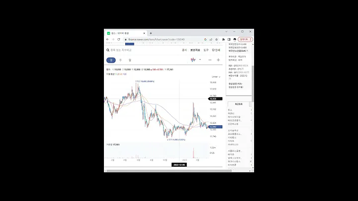 새비디오 만들기136540김부겸 관련주 윈스 1분 분석