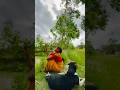 আজ আমি এসেছি মামারবাড়ি তে 🏡🍃⛅️ #minivlog #dailyvlog #villagelife #mamabari #villagevlog