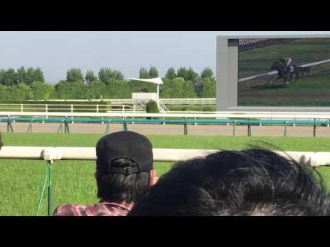 ２０１７天皇賞春２０１７（京都・淀）