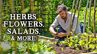 What to Intercrop with Climbing Beans to Maximize Yields In Your Permaculture Garden