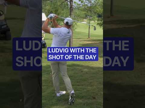 "Best shot I've seen this week"- Smylie