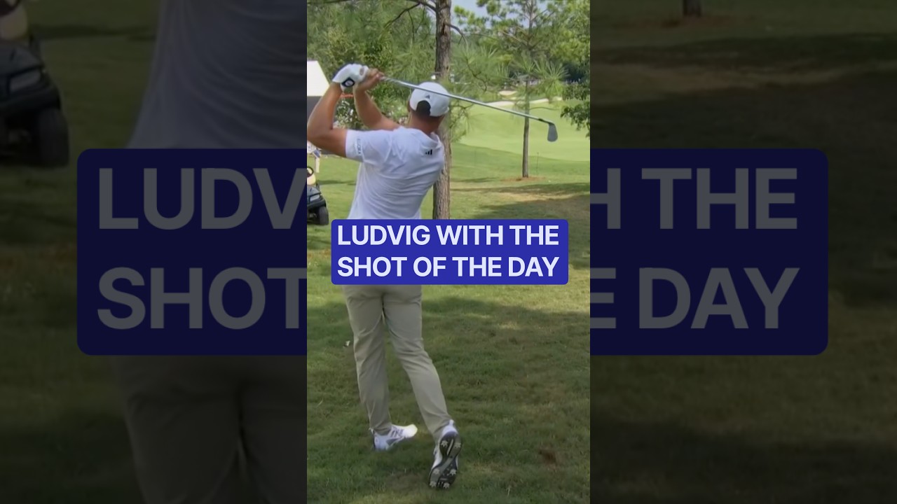 "Best shot I've seen this week"- Smylie