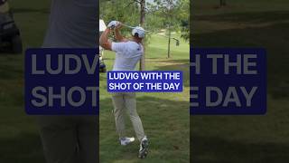 Best shot Ive seen this week- Smylie