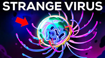 cover of episode Why Scientists Are Puzzled By This Virus