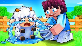 Aphmau! We ADOPTED a CRYING SHEEP in Minecraft