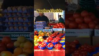 Fresh Fruits &amp; Vegetables at Naples Florida Farmers Market #shorts #florida #farmersmarket