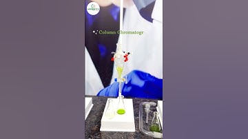 Chromatography 🌱🧑‍🔬#science #lab #experiment #research #dissertation #internship
