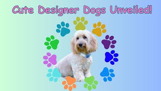 Discover The Amazing World Of Cute Designer Dogs! 🐶😍 I Happy And Adorable Designer Dogs! 🌟🐩