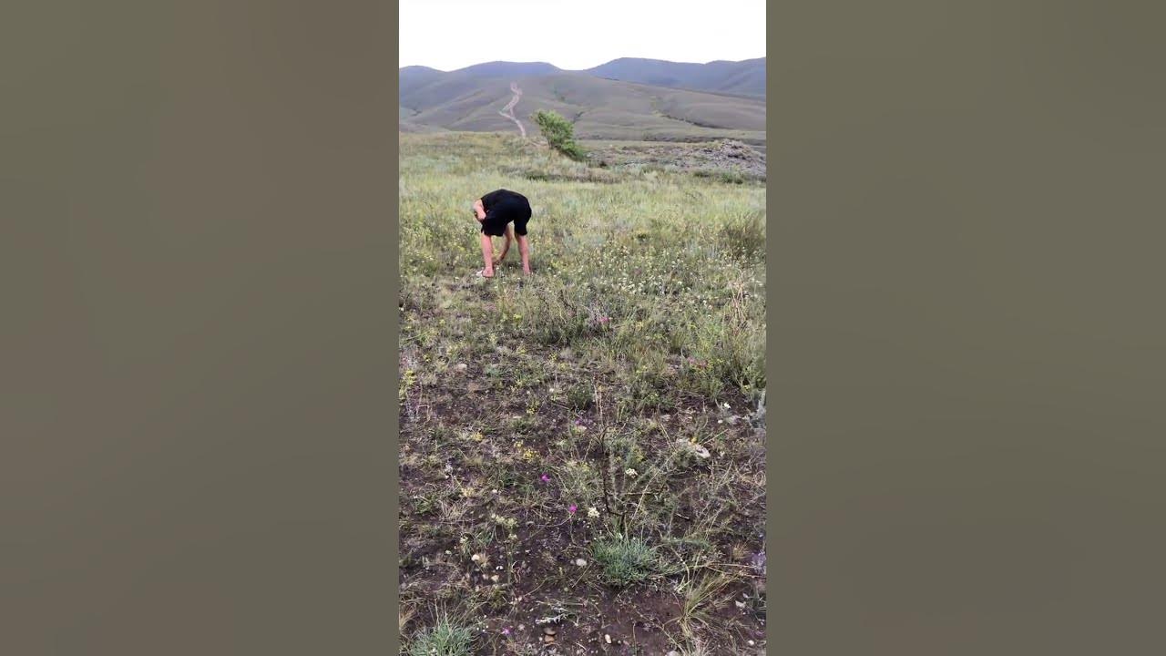 иришка битой