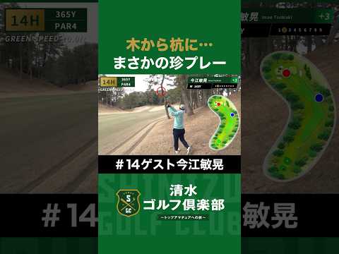【ゴルフ×今江敏晃】木から杭に…まさかの珍プレー炸裂！ #今江敏晃 #清水直行 #ゴルフ #清水ゴルフ倶楽部 #野球