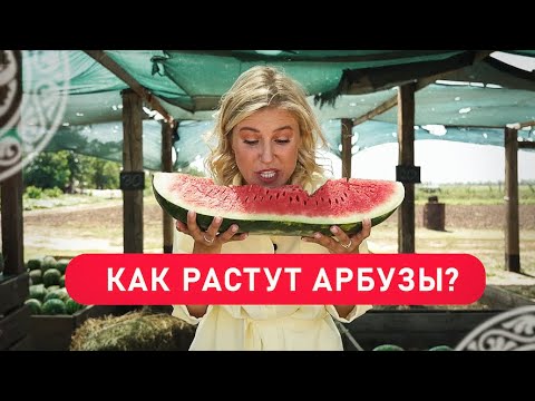 Как живут туркмены