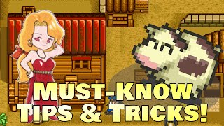 11 Useful Tips & Tricks for Harvest Moon on the SNES! screenshot 4
