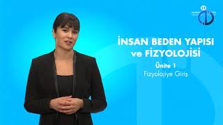 İNSAN BEDEN YAPISI VE FİZYOLOJİSİ - Ünite 1 Konu Anlatımı 1