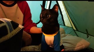 [다홍&아빠VLOG] 고양이와 캠핑 가능해? 다홍이랑 봄맞이 캠핑왔어요. camping with cat.