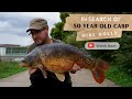 50 year old carp  carp fishing  mike holly