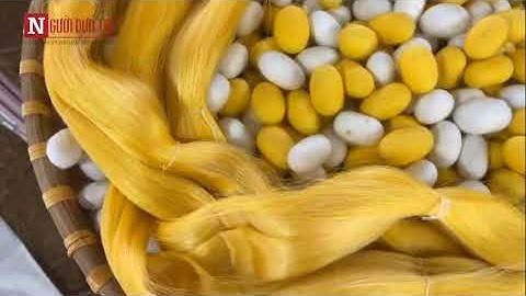 Hương Trà Sắc Tơ Bảo Lộc