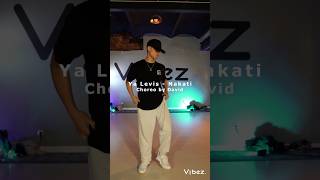 Ya Levis - Nakati Choreo by David #dance