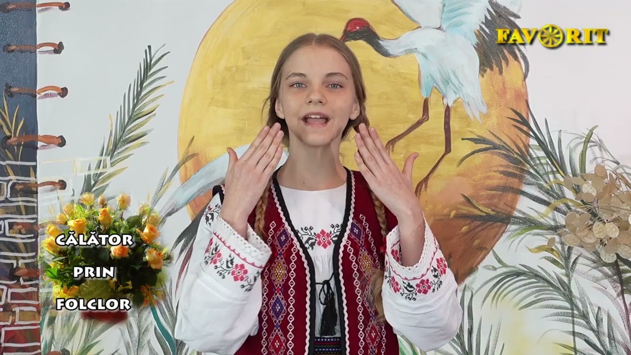 Anisia Covaliov   cover