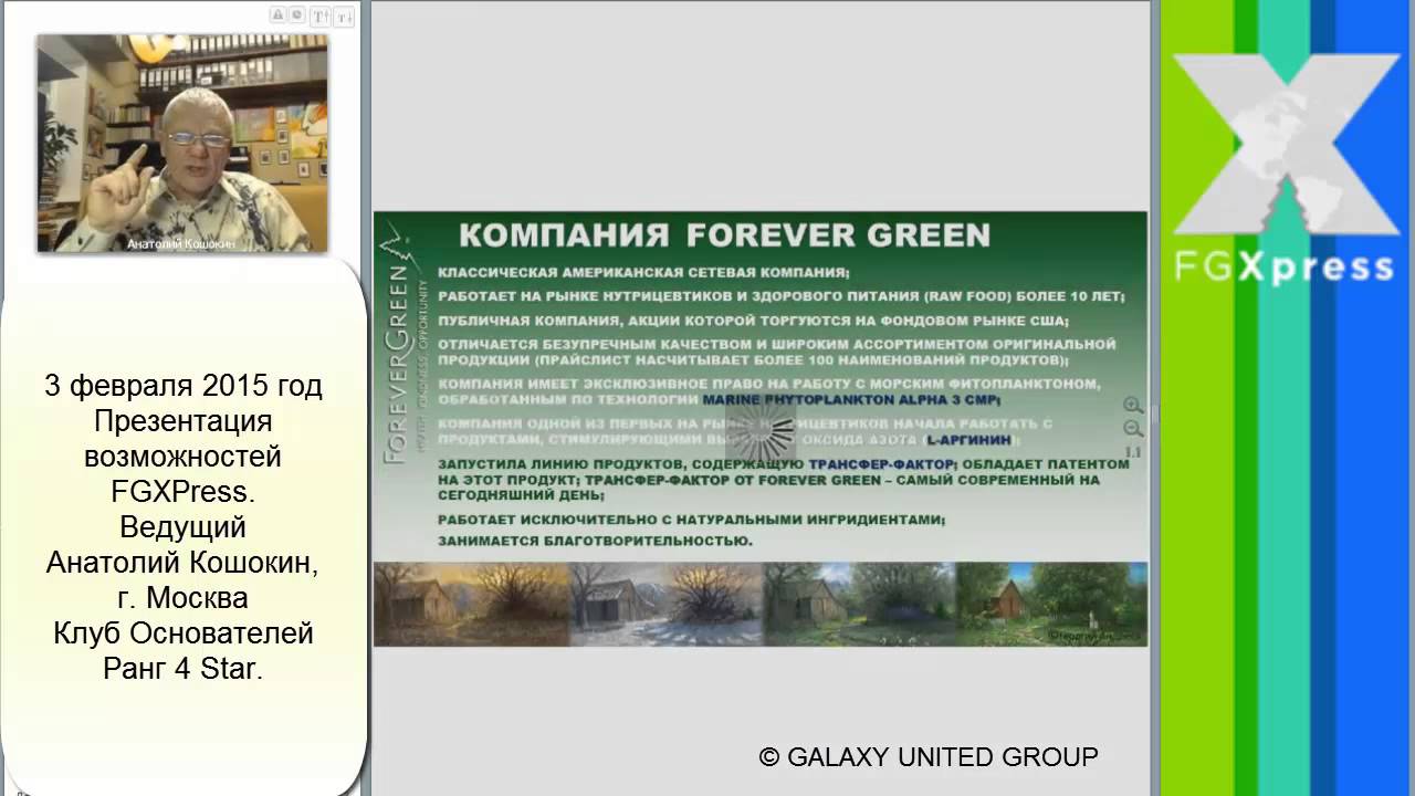 03 02 15 г  Анатолий Кошокин  Презентация возможностей FGXPress 37 мин