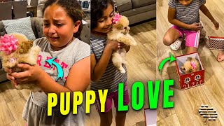 Girl Gets Emotional after Getting a Puppy Present