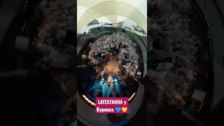 Благодійний концерт Latexfauna у клубі Курені, Київ. @LATEXFAUNA #latexfauna