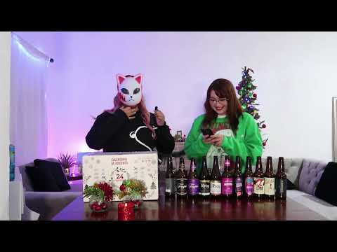 Tag para ser toxique segunda parte | Geek and Chill Vlogmas 11 Cap. 30 T2