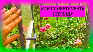 Как я проветриваю теплицу с помощью 2 крючков. Вентиляция в теплице. Как проветривать теплицу.