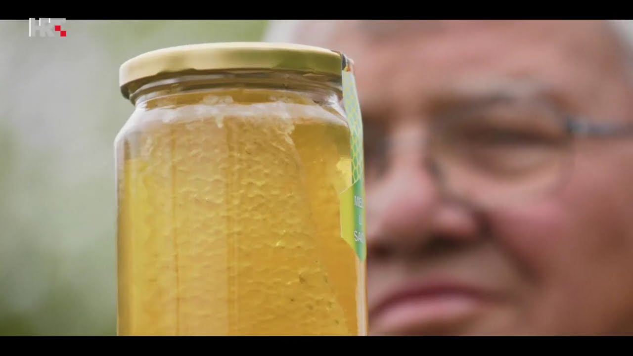 SIVA PČELA ( POVRATAK ŽIVOTINJAMA)