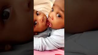 Twins Kissing!Nicholas Kioko and Wambo Ashley twins❤️@nicholas_kioko @commentator254