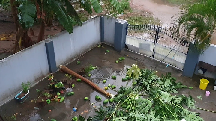 #NivarCyclone  effect in our Garden||తుఫాన్  దెబ్బ||DhritiTeluguVlogs
