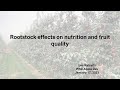 Role Of Rootstocks In Plant Nutrition Role Of Rootstocks In Plant Nutrition