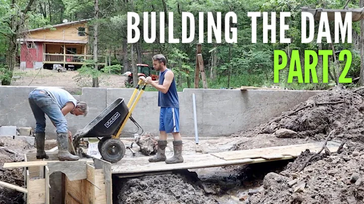 Finishing the Dam @ the Off Grid Cabin - Part 2 / ...
