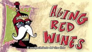 Full Explaining Wines from Spain: Aging Red Wines (subtitulado al español) News