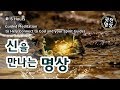 [6시간] 신을 만나는 명상, 마음을 고요하게 하면 우주를 만난다.