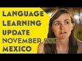 Language Learning Goals Update: November 2017║Lindsay Does Languages Video