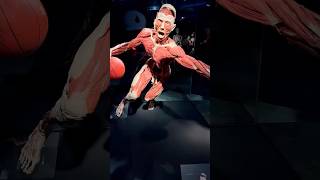🧠 BODY WORLDS: The Anatomy of Happiness ✨ #brisbane