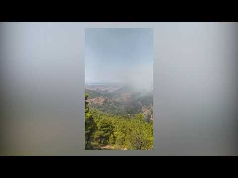 Εύβοια  Νέα φωτιά απειλεί το δάσος στο χωριό Μίστρος