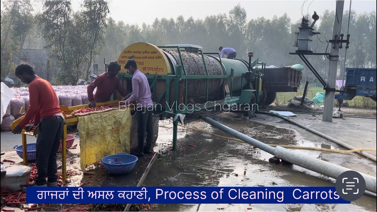 ਗਾਜਰਾਂ ਸਾਫ਼ ਕਿੱਦਾਂ ਤੇ ਕਿੱਥੇ ਹੁੰਦੀਆਂ ? 