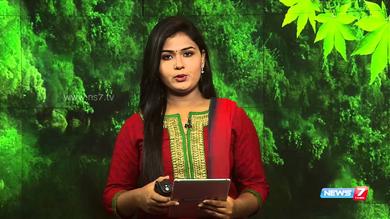 DMDK protests against Dhal price hike | Tamil Nadu | News7 Tamil