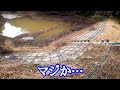 【壊滅的減水】かと思いきや最高の釣り納めになりました