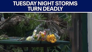 Man dies after being struck by tree during storms | FOX 7 Austin