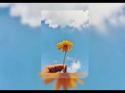Hallelujah ft Murumba  Pitch & Nontokozo Mkhize (Official Audio)