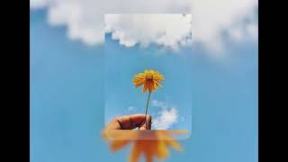 Hallelujah Ft Murumba  Pitch U0026 Nontokozo Mkhize  