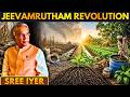 Why Natural Farming with Jeevamrutham Is Miles Ahead of Chemical Farming