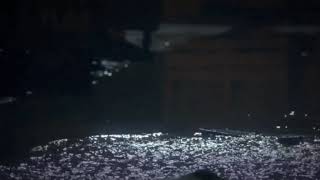 Predator 2 🎬 | King willie death scene (trophy scene)