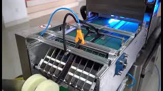 GS1 Serialization & Aggregation System | Pharmaceutical Code Inspection & Global Compliance