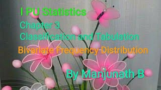 IPU Statistics: Bivariate Frequency Distribution Profile