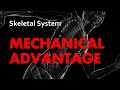 Understanding Mechanical Advantage